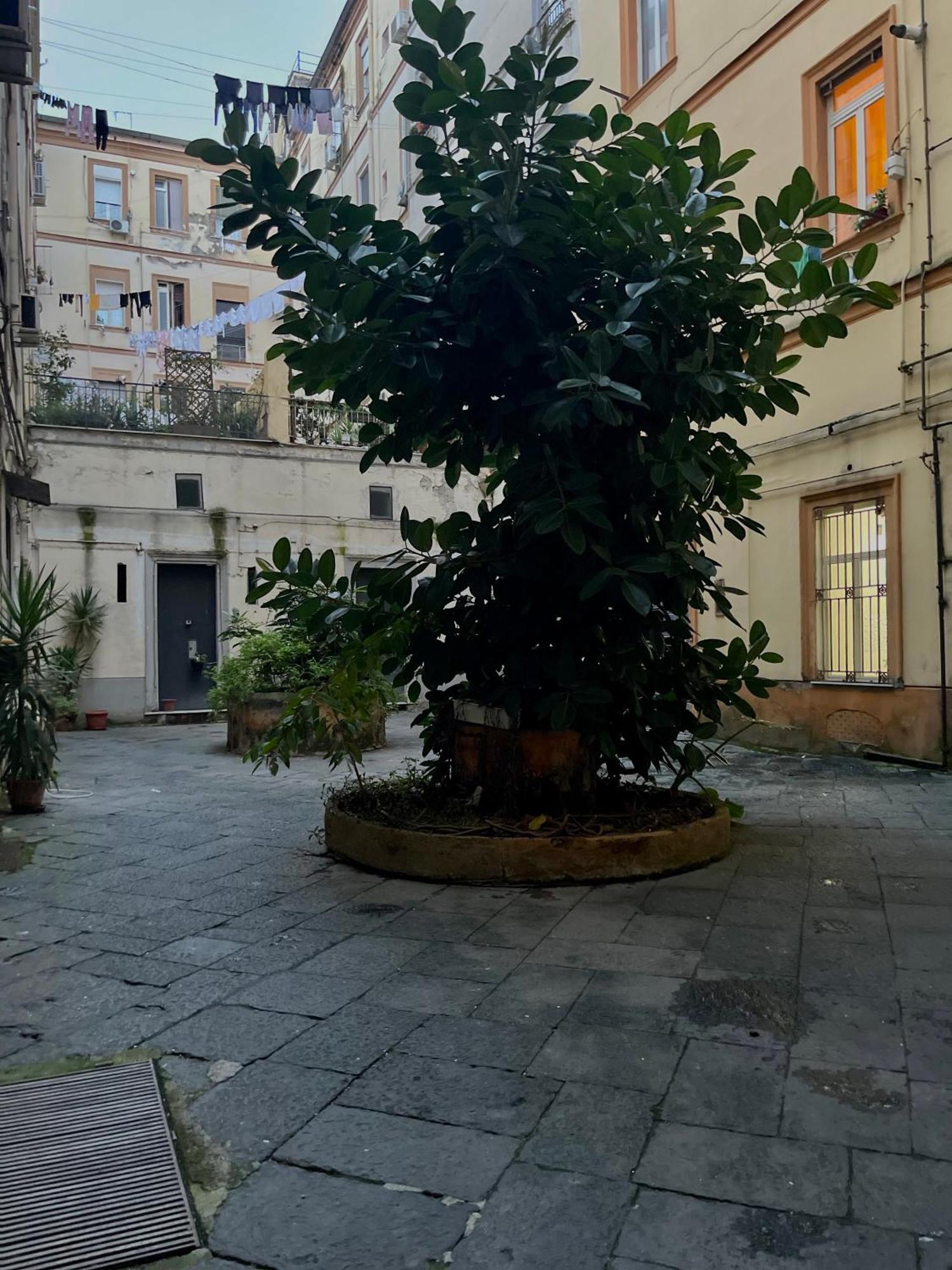 Momarooms Napoli Exterior foto